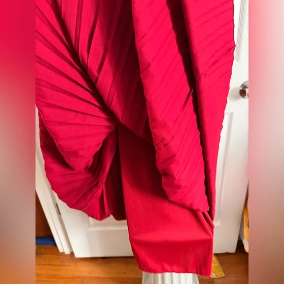 Red Pleated Dress - Picture 5 of 7